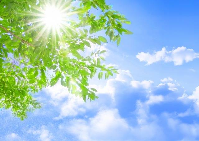 冷房だけじゃない、涼しく過ごすための工夫~高齢者の夏を快適に乗り切るために~ | コラム | 千葉県市原市の訪問看護なら株式会社バナナリーフ